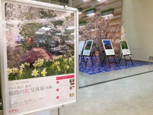 20200326 郡山市　エスパル花写真展_200326_0001